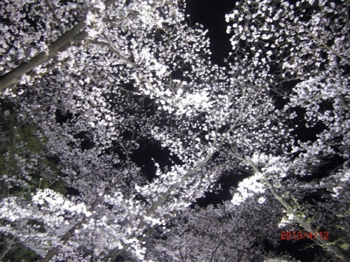 CIMG6755 (640x480).jpg