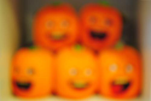 DSC_1759.JPG