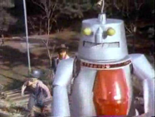 レッドタイガー14