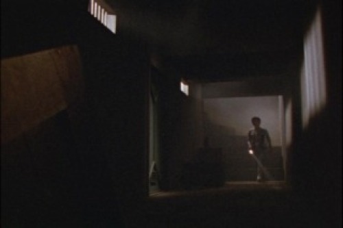 PDVD_018.jpg