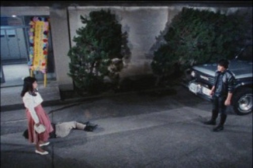PDVD_144.jpg