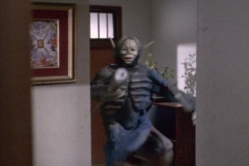 PDVD_003.jpg