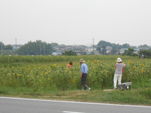 DSCN1543.JPG