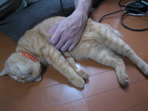 August 25, 2013(6)(V.2013_08_31__07_10_40).jpg