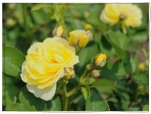 木曽三川公園　１３８タワー