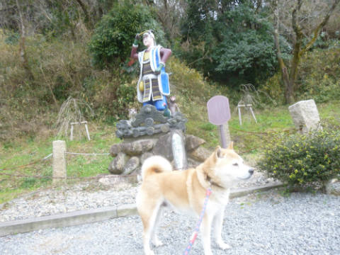 吉備津彦神社 柴犬ゴンのお散歩日記 楽天ブログ