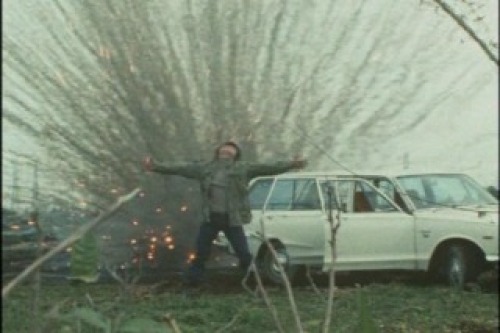 PDVD_019.jpg