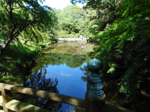 浜松城日本庭園 (1).JPG