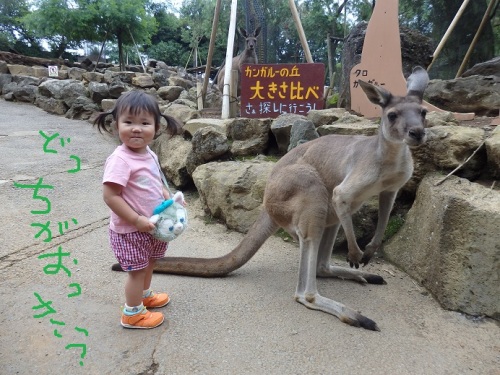 サボテン公園11.JPG