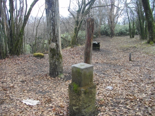 箱根外輪山三国山 (5) (500x375).jpg