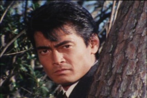 PDVD_210.jpg
