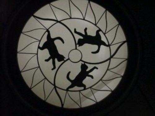 20150504_195552.jpg