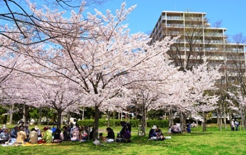 三宮駅から桜トンネルバス 神戸観光旅行 神戸に観光に行こうのお話 楽天ブログ