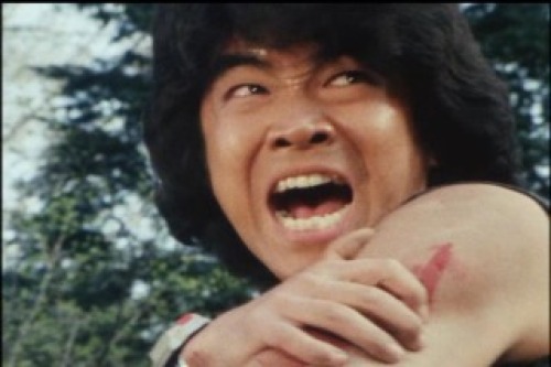 PDVD_011.jpg