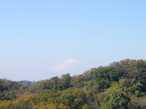 鎌倉天園建長寺半僧坊 (3).JPG