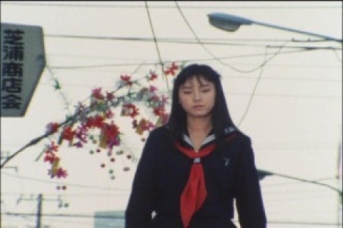 izu131230.jpg