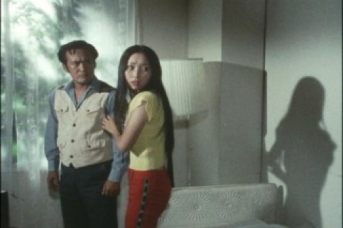 PDVD_021.jpg
