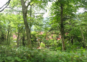 上高地3.jpg