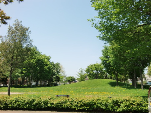 公園.JPG