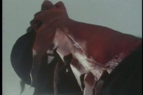 PDVD_018.jpg
