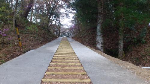 DSC_0301[1].JPG