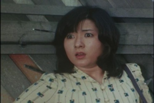 PDVD_008.jpg