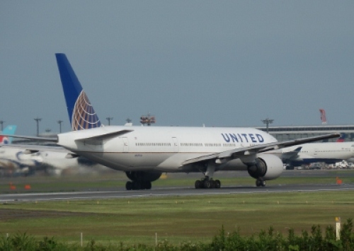 P6240258 (400x284).jpg