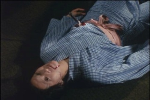 PDVD_003.jpg