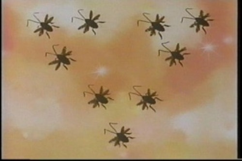 PDVD_014.jpg