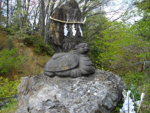 青梅丘陵青梅市内金比羅宮亀 (500x375).jpg