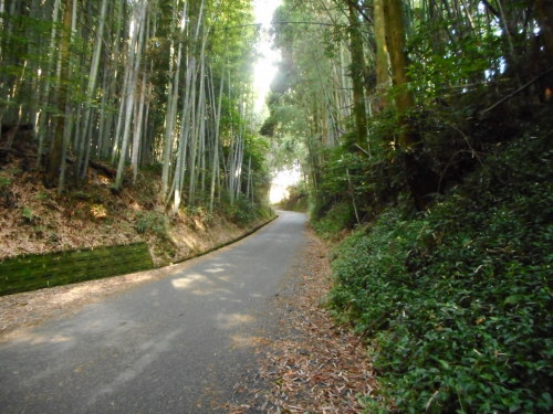西南戦争田原坂古戦場 熊本 熊本市 パクス ジャポニカ Vol 2 楽天ブログ 西南戦争田原坂古戦場 熊本 熊本市 パクス ジャポニカ Vol 2 楽天ブログ