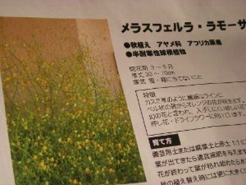 DSCN6553 (300x225).jpg