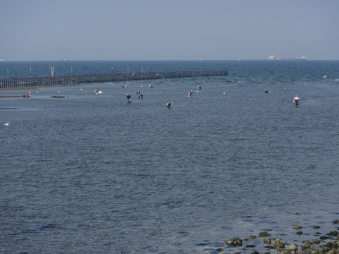 IMG_1204_R.JPG