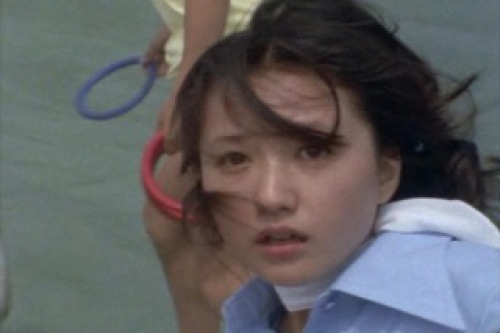 PDVD_002.jpg