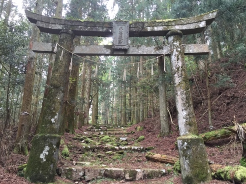 IMG_6424 (640x479).jpg