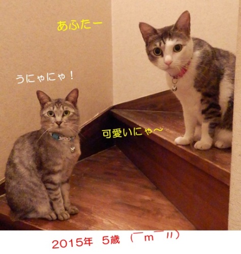 20150817_2.jpg