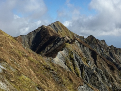 IMG_7028 (640x480).jpg