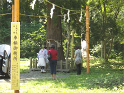 羽黒山27.jpg