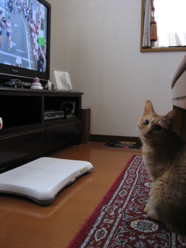 Jan. 02, 2015(2).JPG