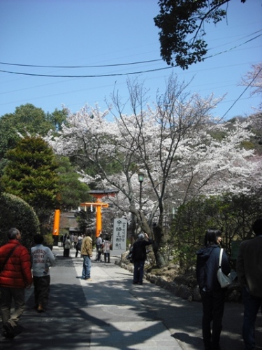 京都　2012年4月8日　 (14).JPG