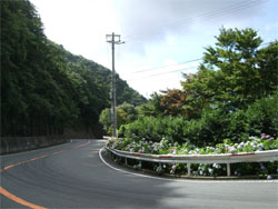 六甲山46.jpg