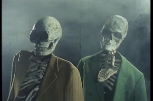 PDVD_002.jpg