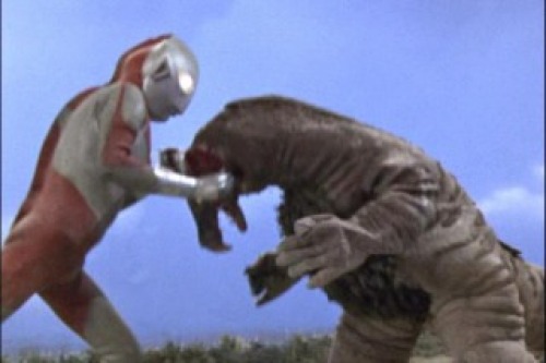 PDVD_011.jpg