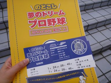 20140105のどごし夢のドリームプロ野球01.jpg