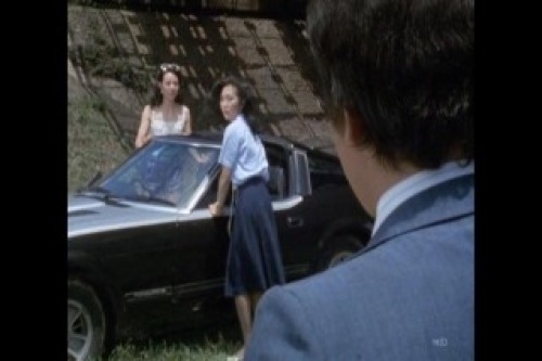 PDVD_029.jpg