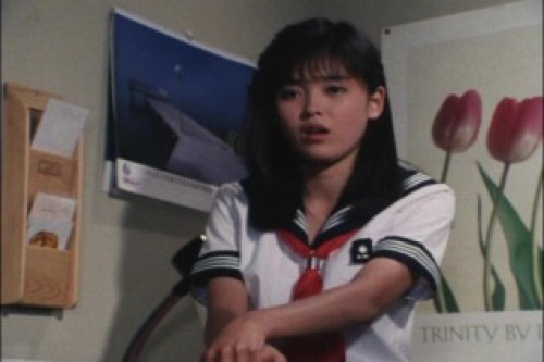 PDVD_024.jpg