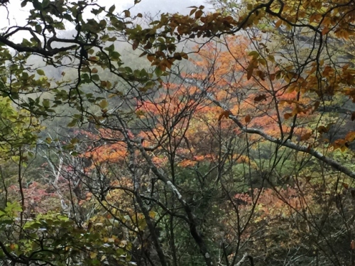 IMG_5399 (640x480).jpg