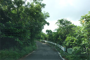 石垣344.jpg