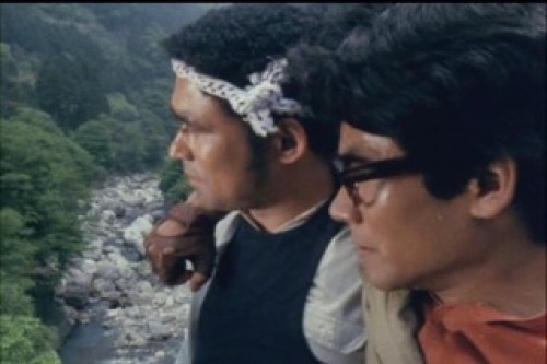 PDVD_012.jpg