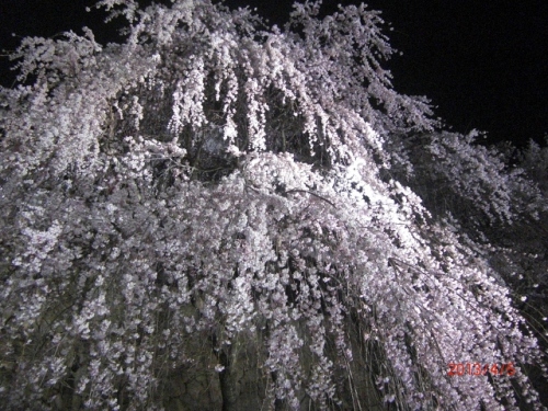 CIMG6723 (640x480).jpg